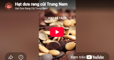 Hạt Dưa Trung Nam rang củi truyền thống - mẫu mã đa dạng