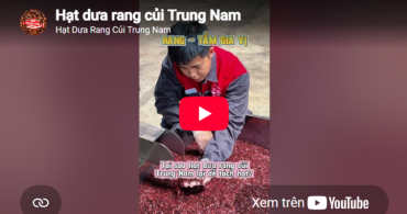 Quy trình sản xuất hạt dưa Trung Nam